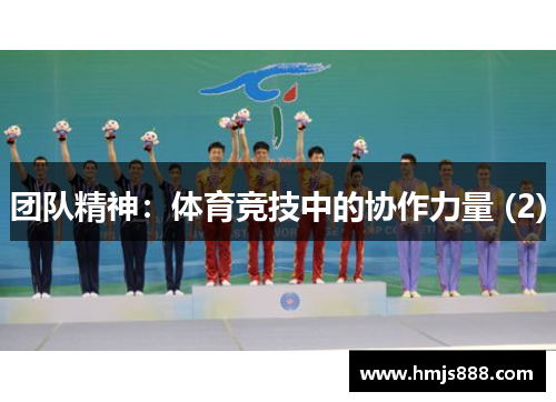 团队精神：体育竞技中的协作力量 (2)
