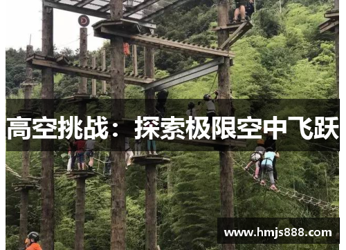 高空挑战：探索极限空中飞跃
